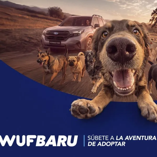 WUFBARU: Cuando el amor por la aventura incluye cuatro patas